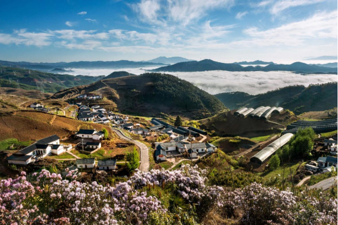 10 QY千亿国际电气集团科技兴农 助力凉山火普村打造数字乡村804.png
